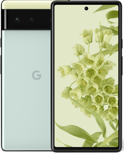 Google Pixel 6 Pro Reparatur